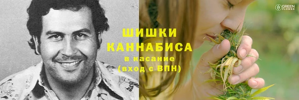 прущие грибы Новокубанск