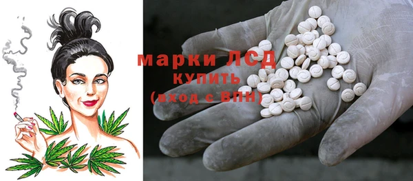 прущие грибы Новокубанск
