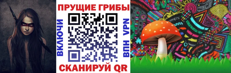 магазин продажи   Тихорецк  Галлюциногенные грибы Cubensis 